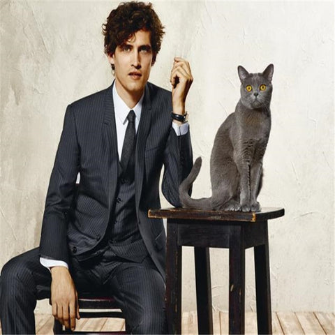 Image of Beige Mens Suits Three Piece Jacket Pants Vest Custom Slim Fit Male Blazer Wedding  Groom Tuxedos men suit